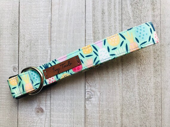 pineapple dog collar