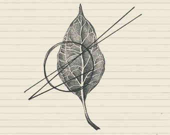 Può includere: Illustrazione in bianco e nero di una foglia dettagliata, con una rete di venature, sovrapposta da un cerchio e due linee diagonali. L'opera è su carta a righe, creando un contrasto.