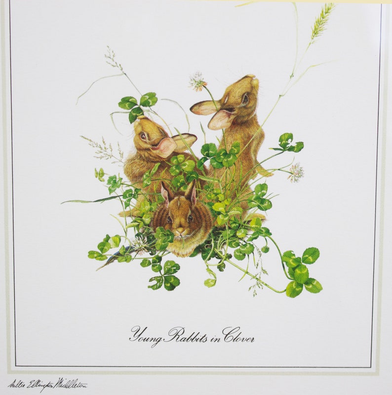 Sallie Ellington Middleton Young Rabbits in Clover image 3