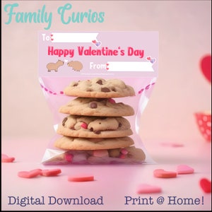 Capybara Valentine Treat Bag Toppers, PRINTABLE Capybara Valentine Cards for Kids, Valentines Printable Valentines Kids Treat Tags, DIY