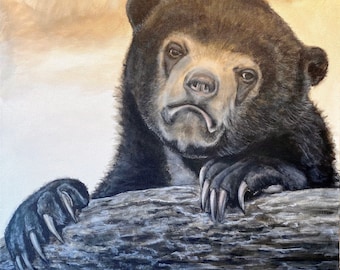 Sad bear, confession bear meme Artist signed print, multiple variations.