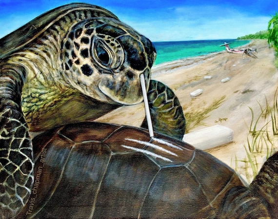 Sea Turtle Snorting Cocaine With a Straw. the Reason You Have to