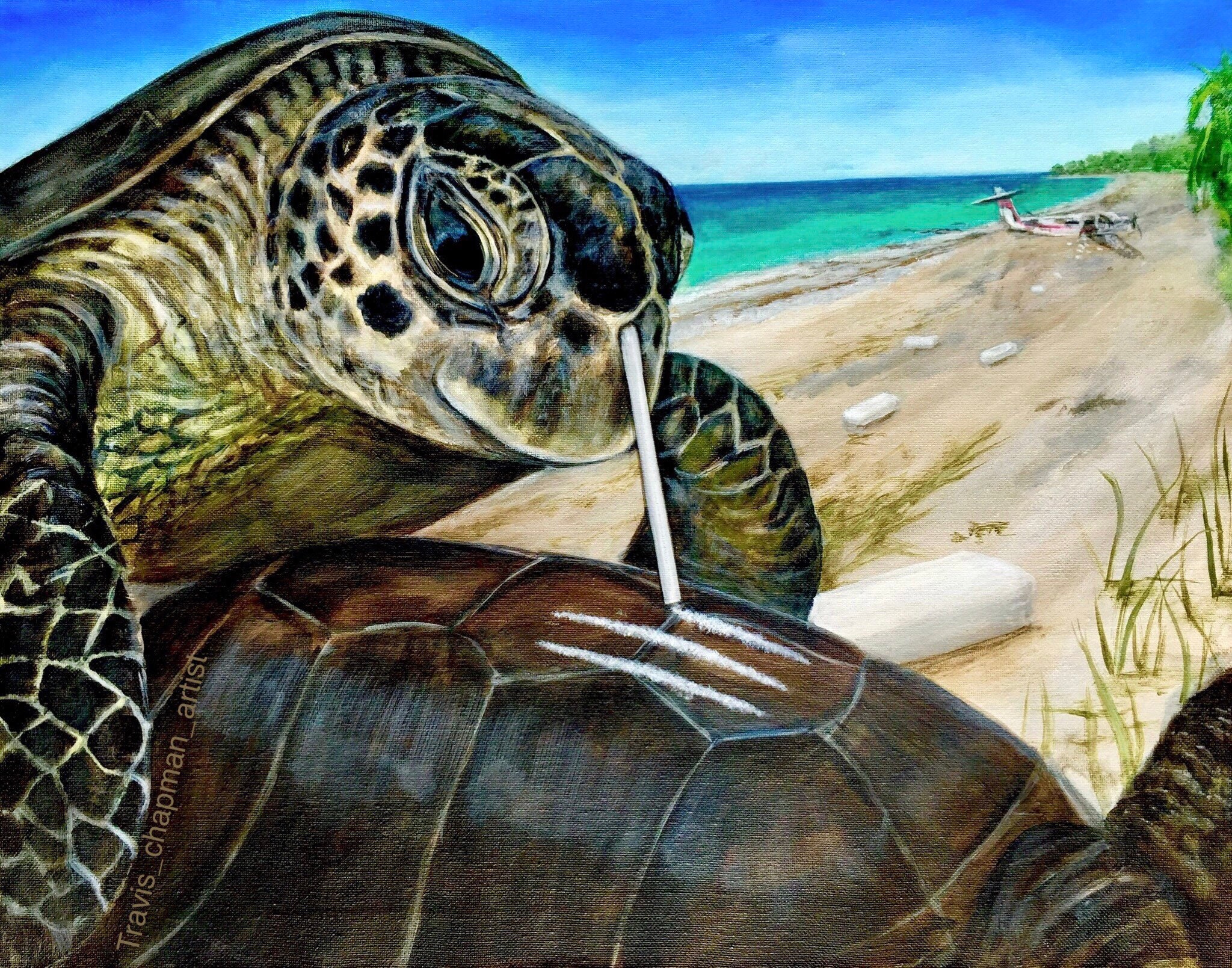 Video of a turtle having a drinking straw pulled from its nose in Costa  Rica