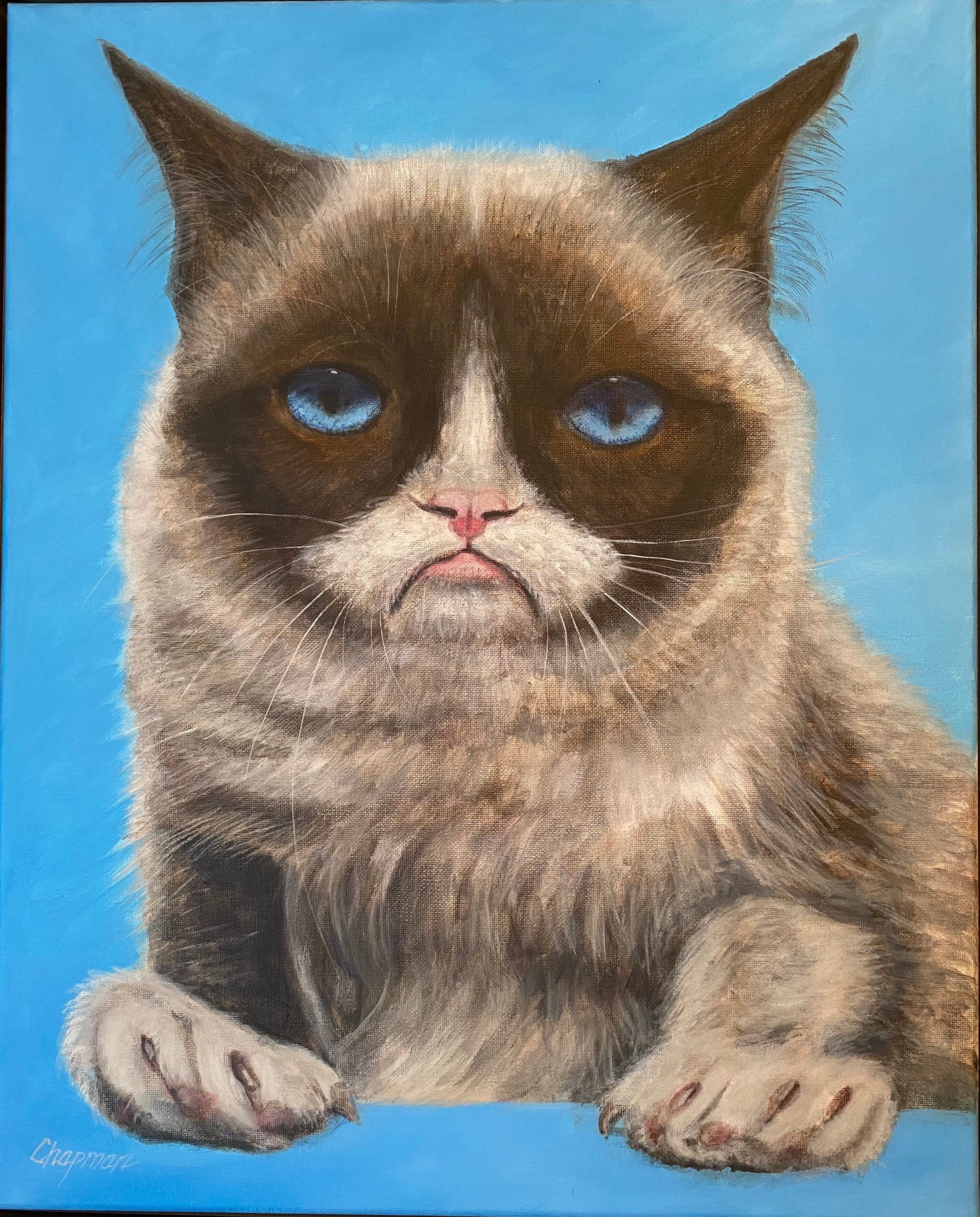 Angry cat aluminium wall art print