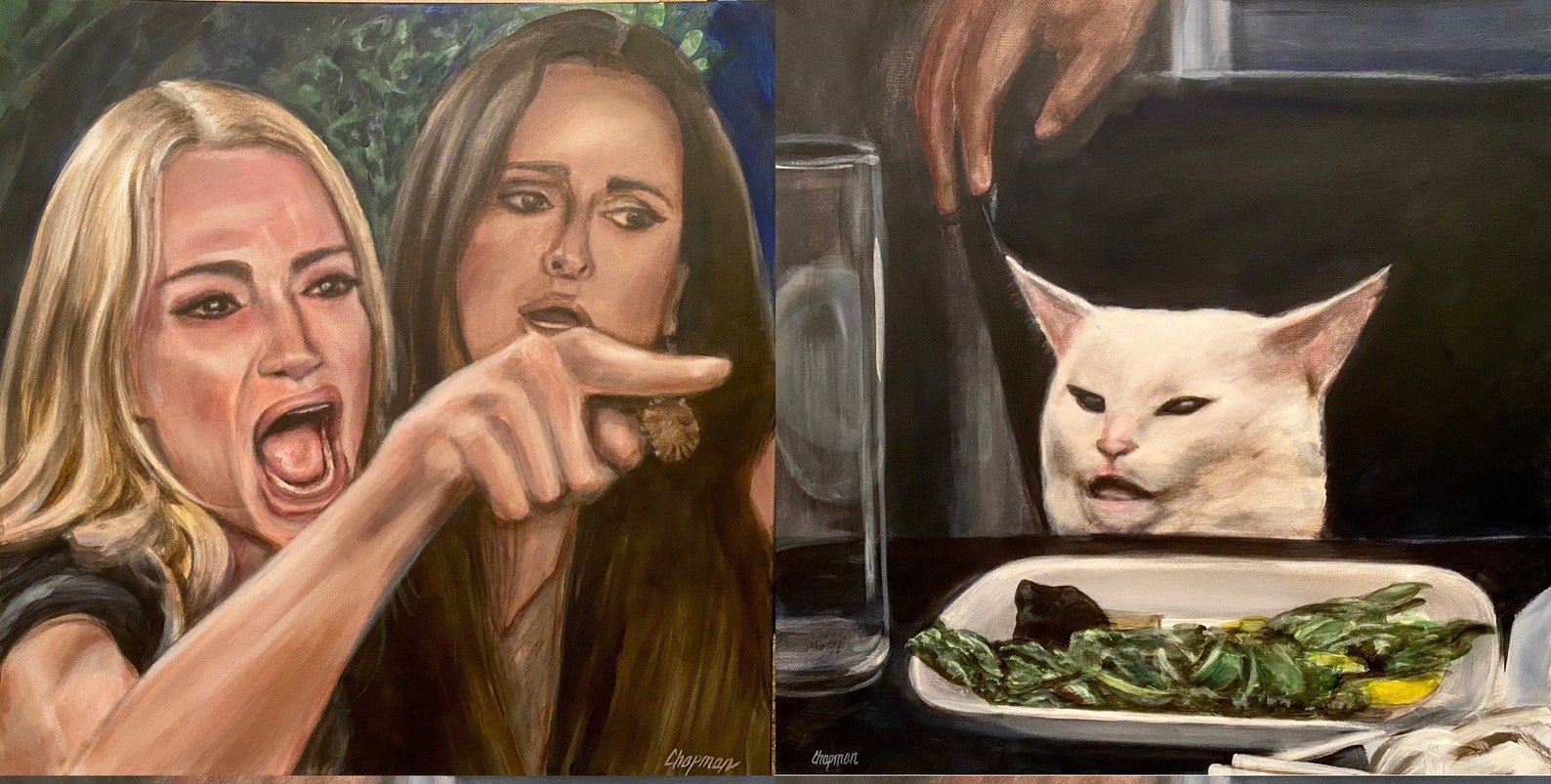 Мем с девушками и котом