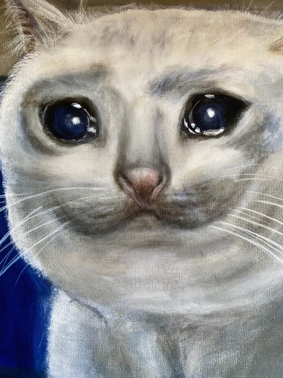 SAD CAT, MEME