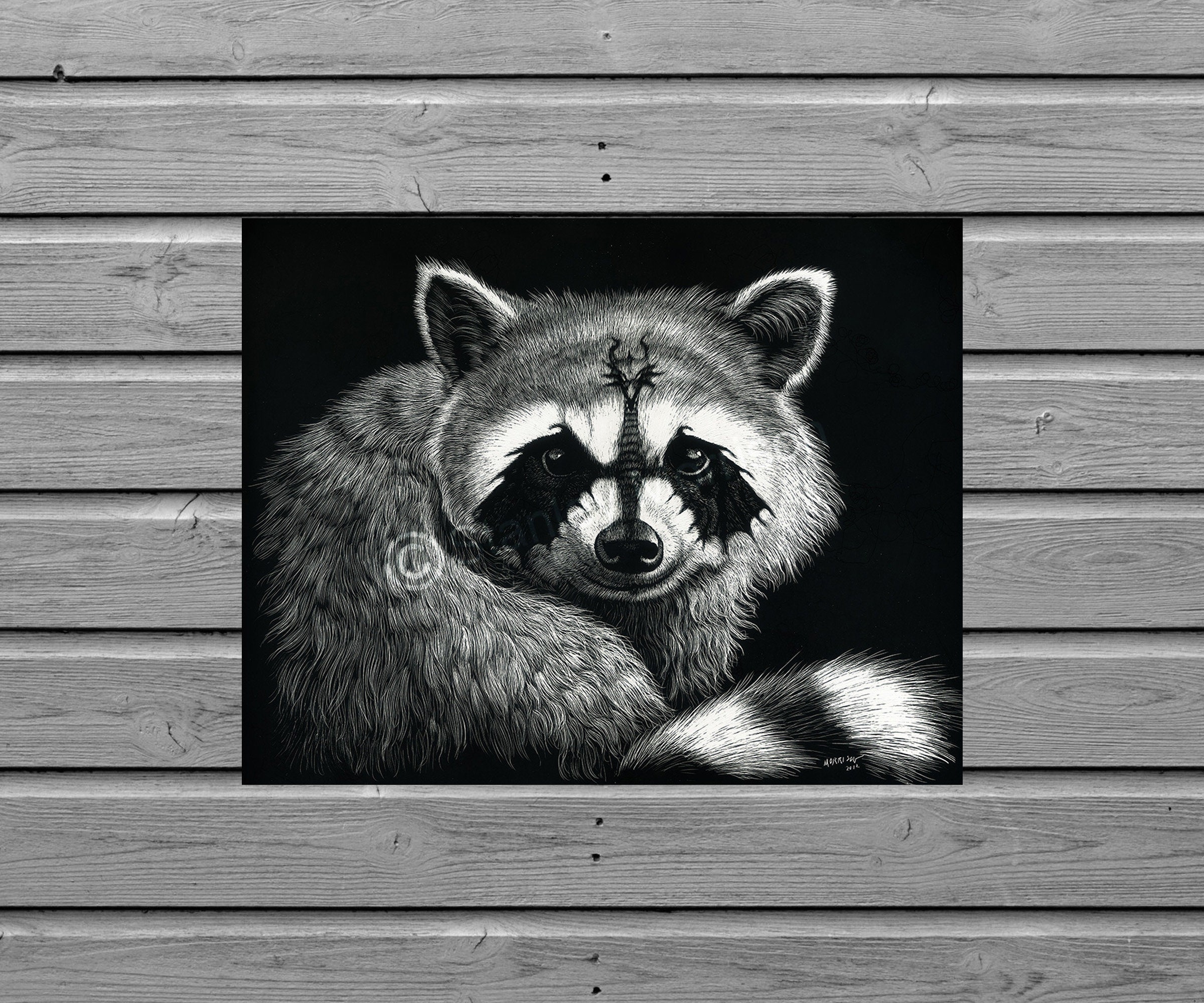 DRACCOON Print 4x6, 8.5x11, or 11x14, Dragon Spirit, Scratchboard