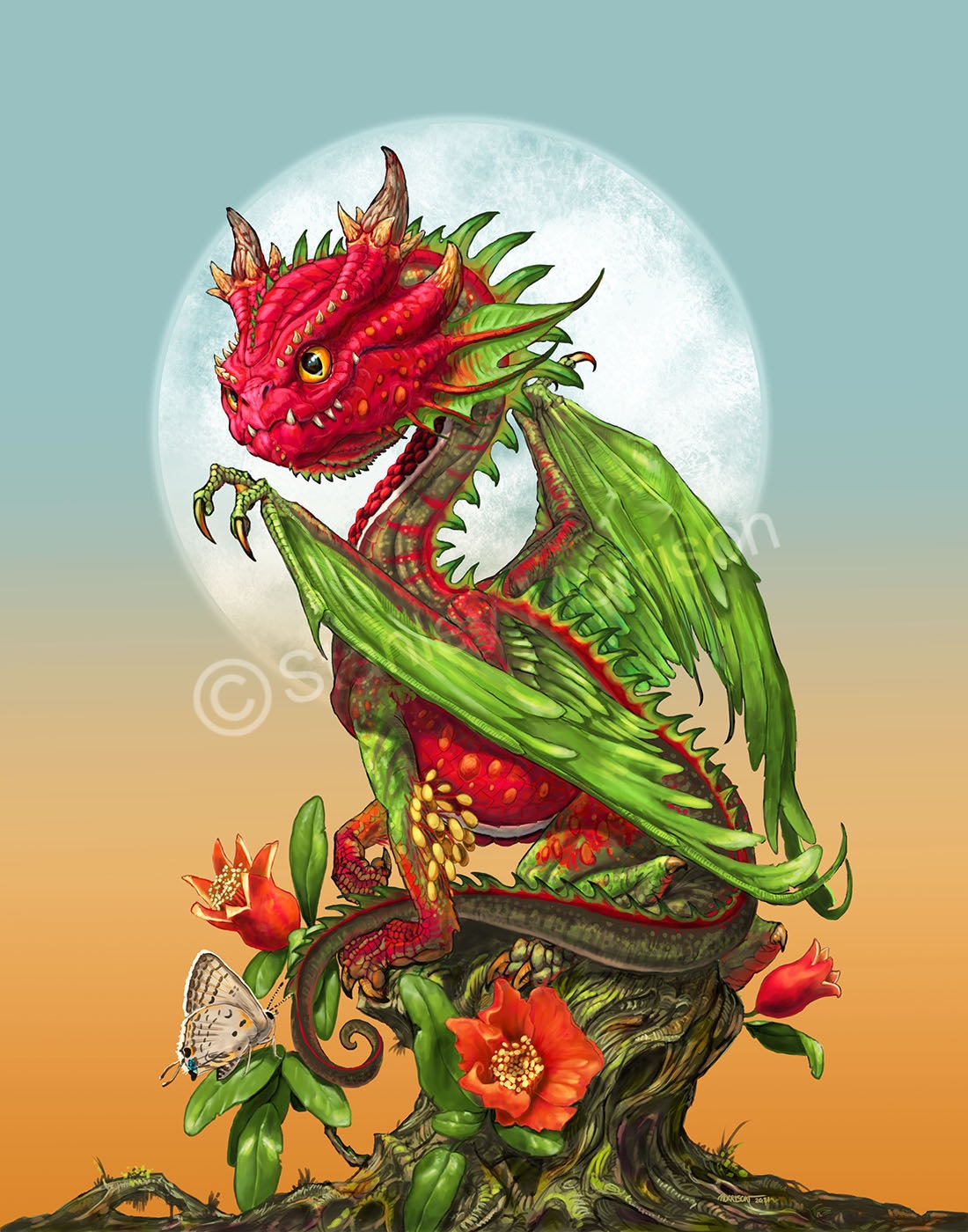 POMEGRANATE DRAGON print 4x6 8.5x11 or 11x14 dragon art Etsy