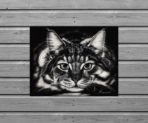 DRAGON CAT print 4x6, or 11x14, cat, maine coon cat art, tabby cat,  cat art, cat, black, white, dragon pattern, dragon