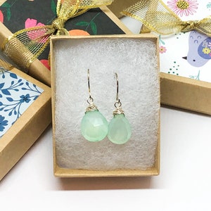 Zeeschuim lichtgroene druppelvormige eenvoudige delicate verzilverde oorbellen zeeschuim sieraden handgemaakte begaafde sieraden voor haar handgemaakte oorbellen schattig