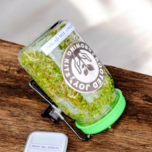 May include: A glass jar filled with sprouts, labeled "Salad Mix Sprouts" and "Joy Rooted Growing Kits." The jar has a green lid and is held in a metal stand. A small white container with "Salad Mix Sprouts" is in the foreground.