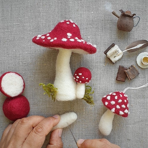 Toadstool Mushroom Needle Felting DIY Kit Diy Etsy