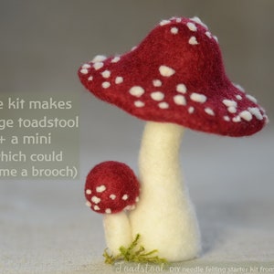 Toadstool Mushroom Needle felting DIY kit Diy Christmas decorations fairy mushroom hygge Christmas Beginners 画像 3