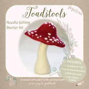 Toadstool Mushroom Needle felting DIY kit Diy Christmas decorations fairy mushroom hygge Christmas Beginners image 2