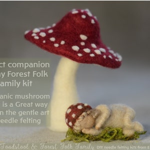 Toadstool Mushroom Needle felting DIY kit Diy Christmas decorations fairy mushroom hygge Christmas Beginners image 7