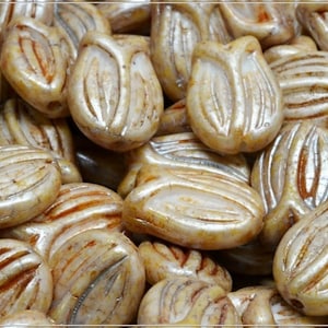 6 pcs Beige-White Bicolor, Herbs&Spices Caraway Czech Glass Tulip Flower Beads 16x11 mm (12622)