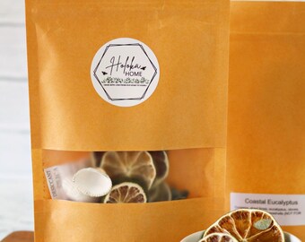 Coastal Eucalyptus Simmer Pot Kit - Summertime Stovetop Potpourri - Home Fragrance - Limes, Eucalyptus, Cloves, Frankincense Seashells