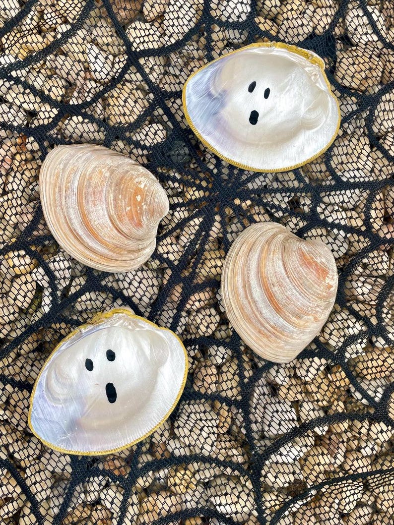 Op de afbeelding: Vier schelpen, waarvan twee met geschilderde spookgezichten, liggen op een zwart net over een bed van kleine, bruine kiezelstenen. De schelpen hebben een parelmoerachtige binnenkant en een gouden rand.