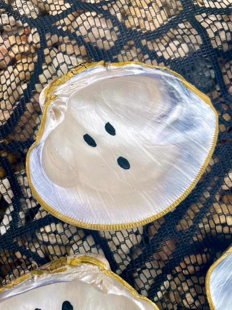 Op de afbeelding: Open schelp met een parelmoer interieur en een goudkleurige rand. Drie zwarte stippen zijn zichtbaar in het midden van de schelp. De schelp wordt gepresenteerd op een zwart gaasoppervlak.