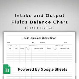 One Patient Fluids Balance Chart - Liquids Intake and Urine Output Chart - Editable Google Sheets Template - Auto Running Total Calculations