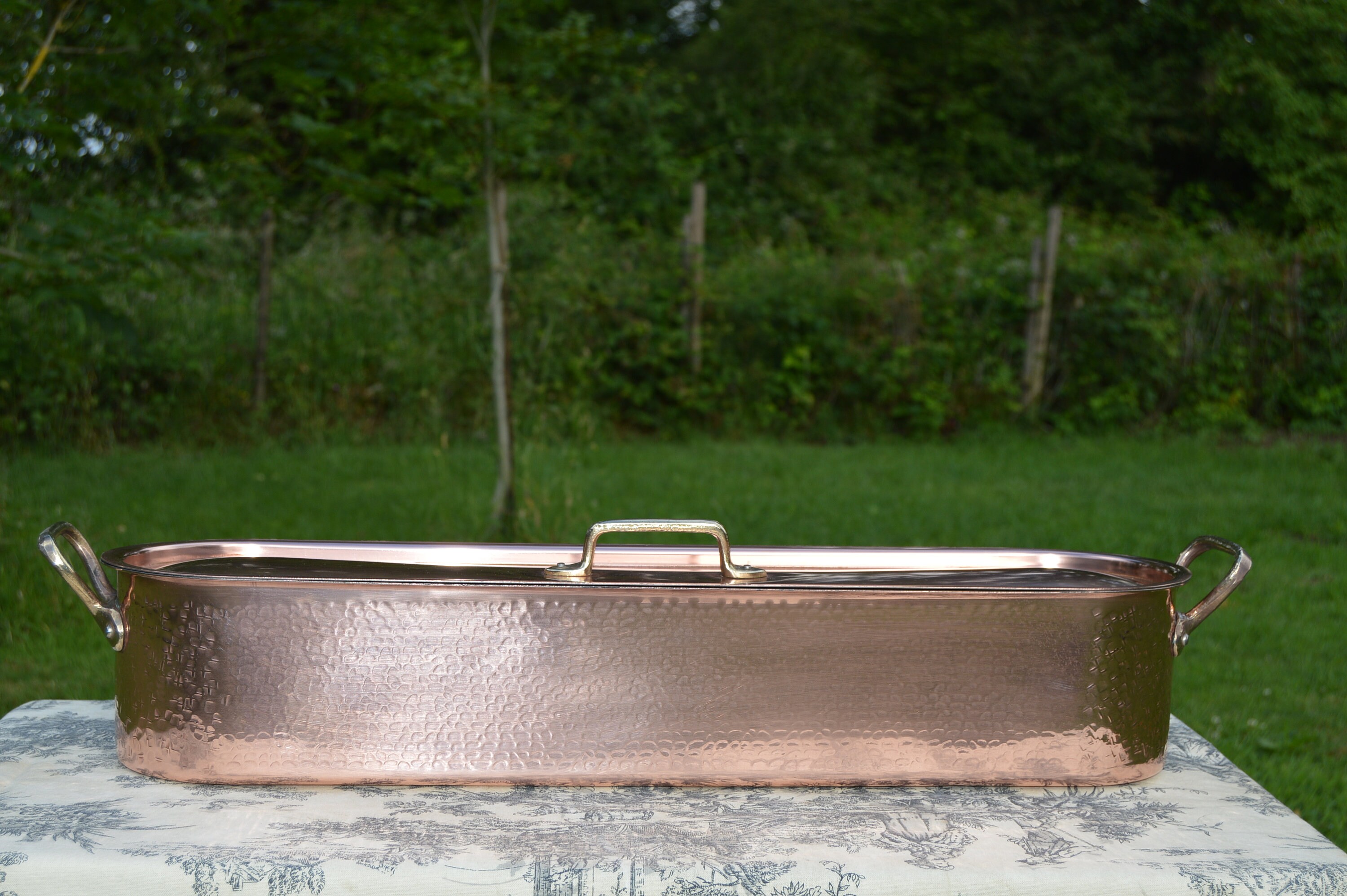 Vintage French Copper Solid Copper and Cast Bronze Fish Kettle Fish