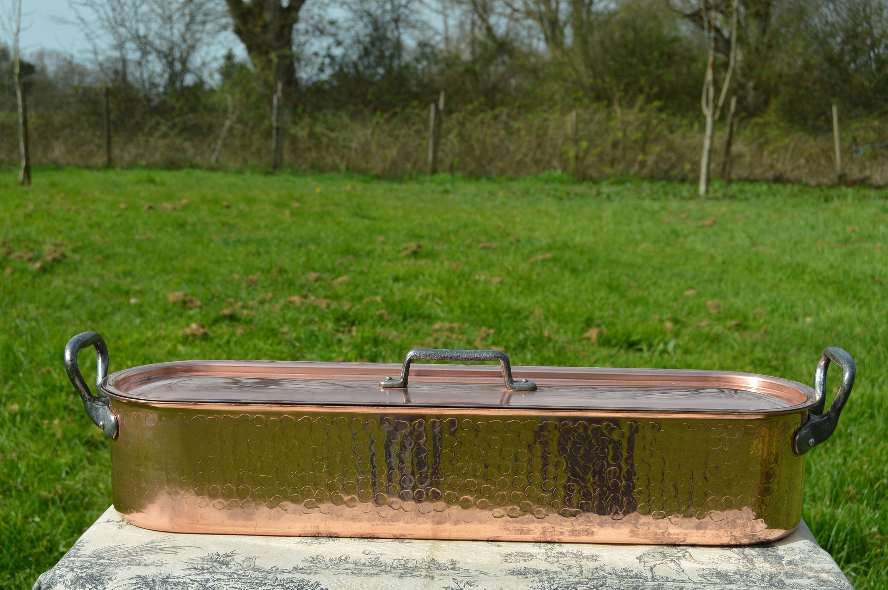 Copper Fish Kettle MASSIVE Vintage French Copper Cast Bronze Fish