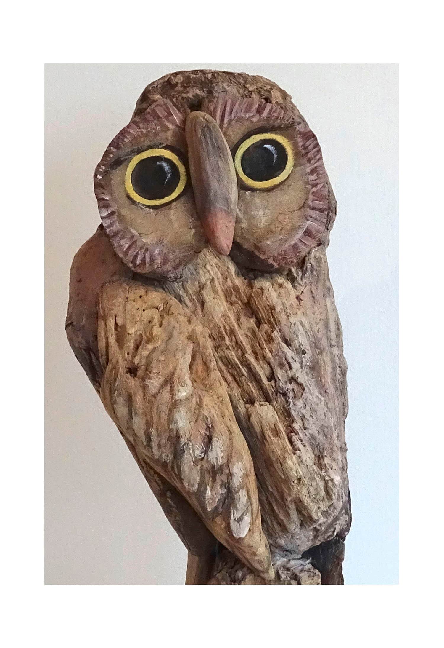 Driftwood Wise Owl