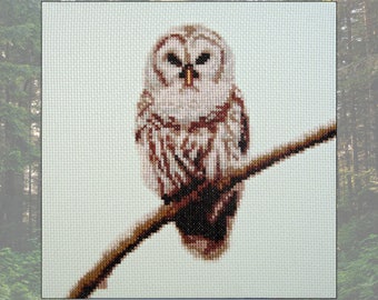 Owl on Branch, Cross Stitch Kit Owl, bird of prey, small