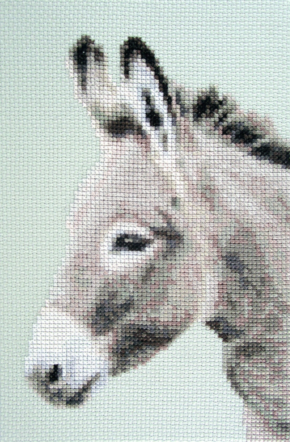 Cross Stitch Kit Determined Spirit Donkey Grey Farm Animal Etsy