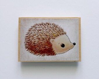Hedgehog Magnet