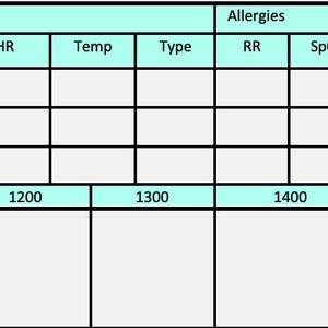 CNA/Tech/Nurse Brain Sheet - 4 Patient