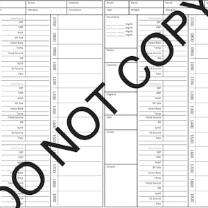 CNA/Tech/Nurse Brain Sheet - 2 Patient