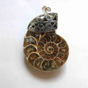 May include: A pendant featuring a polished ammonite fossil with a silver-colored metal cap. The fossil displays a spiral pattern in shades of brown and tan. The metal cap has a decorative openwork design and a loop for a chain.