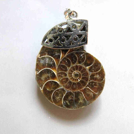 Ammonite fossil pendant C2515