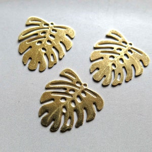 30pcs Raw Brass Charms,Monstera Leaf Pendants Findings 22mm x 21mm - F1158