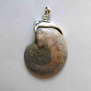 May include: A pendant featuring a fossilized ammonite shell with a silver-colored bail. The shell displays shades of brown, gray, and green, with a spiral pattern. The bail is a simple, curved design, suitable for a necklace.