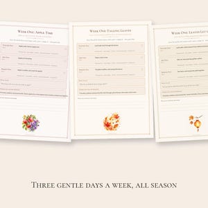 Waldorf Preschool Curriculum Autumn Bundle, September October November, Homeschool Ages 3-5 PDF image 4