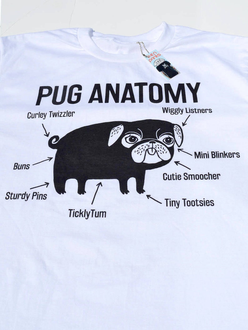 The Pug Anatomy Pug Tshirt Is Here Based On The Latest Scientific Research Very Soft And Available In Three Colours. The Perfect Pug Shirt image 6