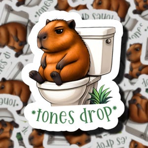 Tones Drop | Paramedic Sticker | EMT Sticker | First Responders | 911 Dispatcher | Medics | EMS Stickers | Emergency Service | WYE911