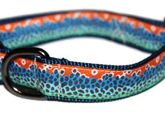 dog collars with fish design