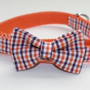 May include: Orange and purple checkered bow tie on a matching orange collar with a silver buckle.