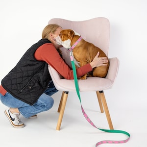 Preppy Pink and Green Whale Dog Collar with Leash option, adjustable nylon collar