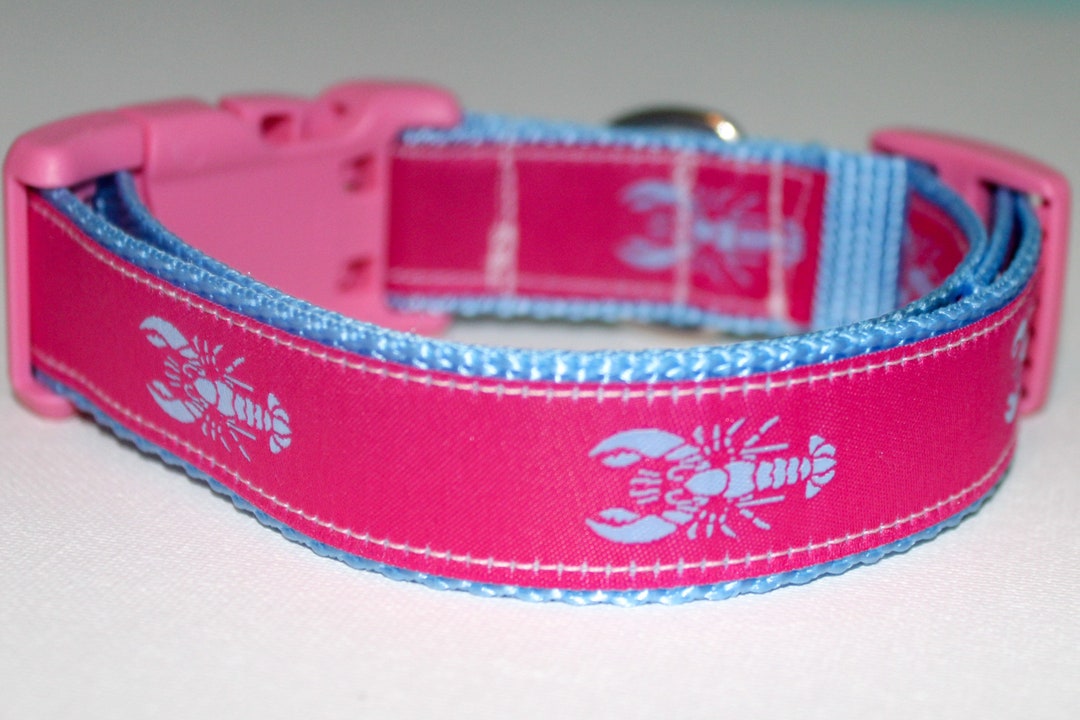 Pink Lobster Dog Collar, Lobster Leash, Nylon Collar and Leash Etsy