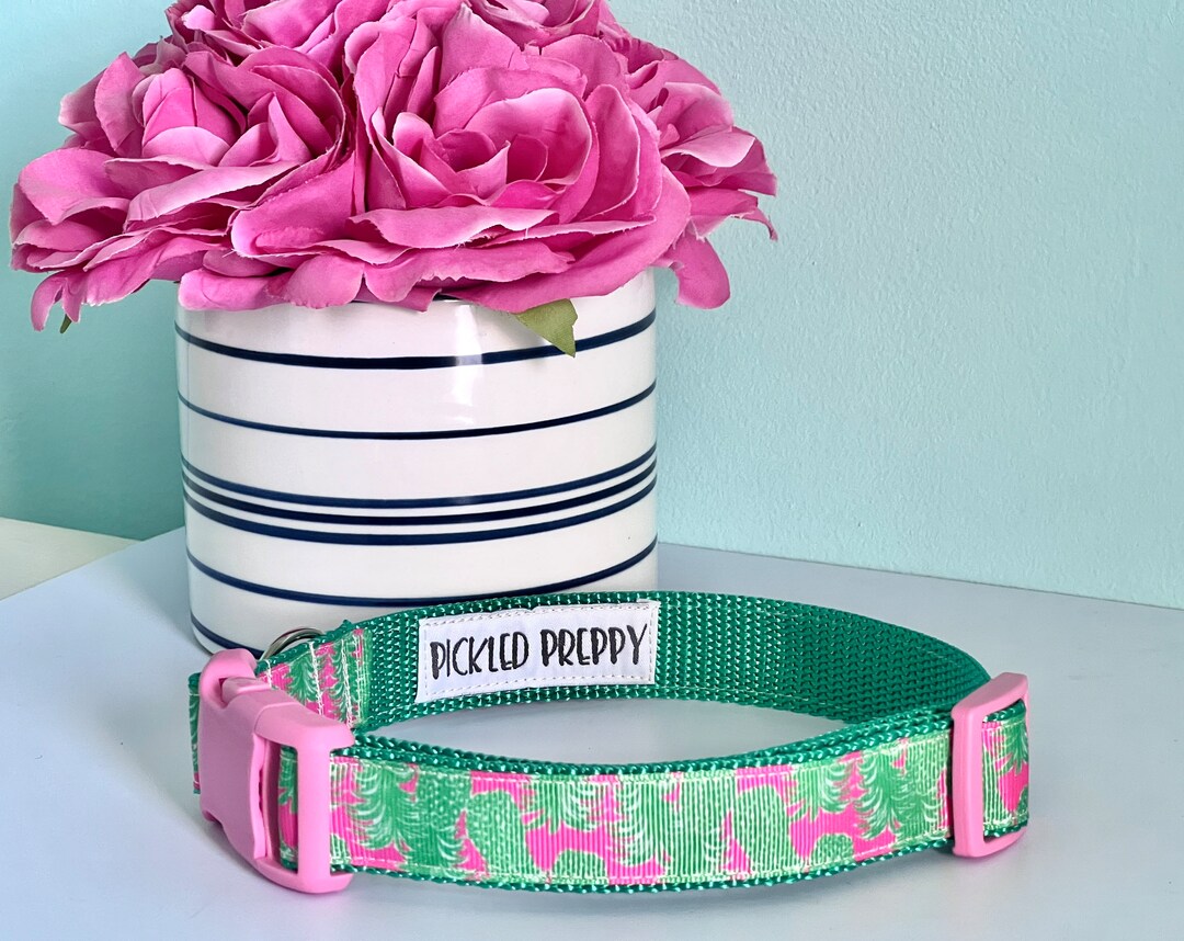 Preppy Tropical Pineapple Dog Collar, LP Inspired, Girl Collar