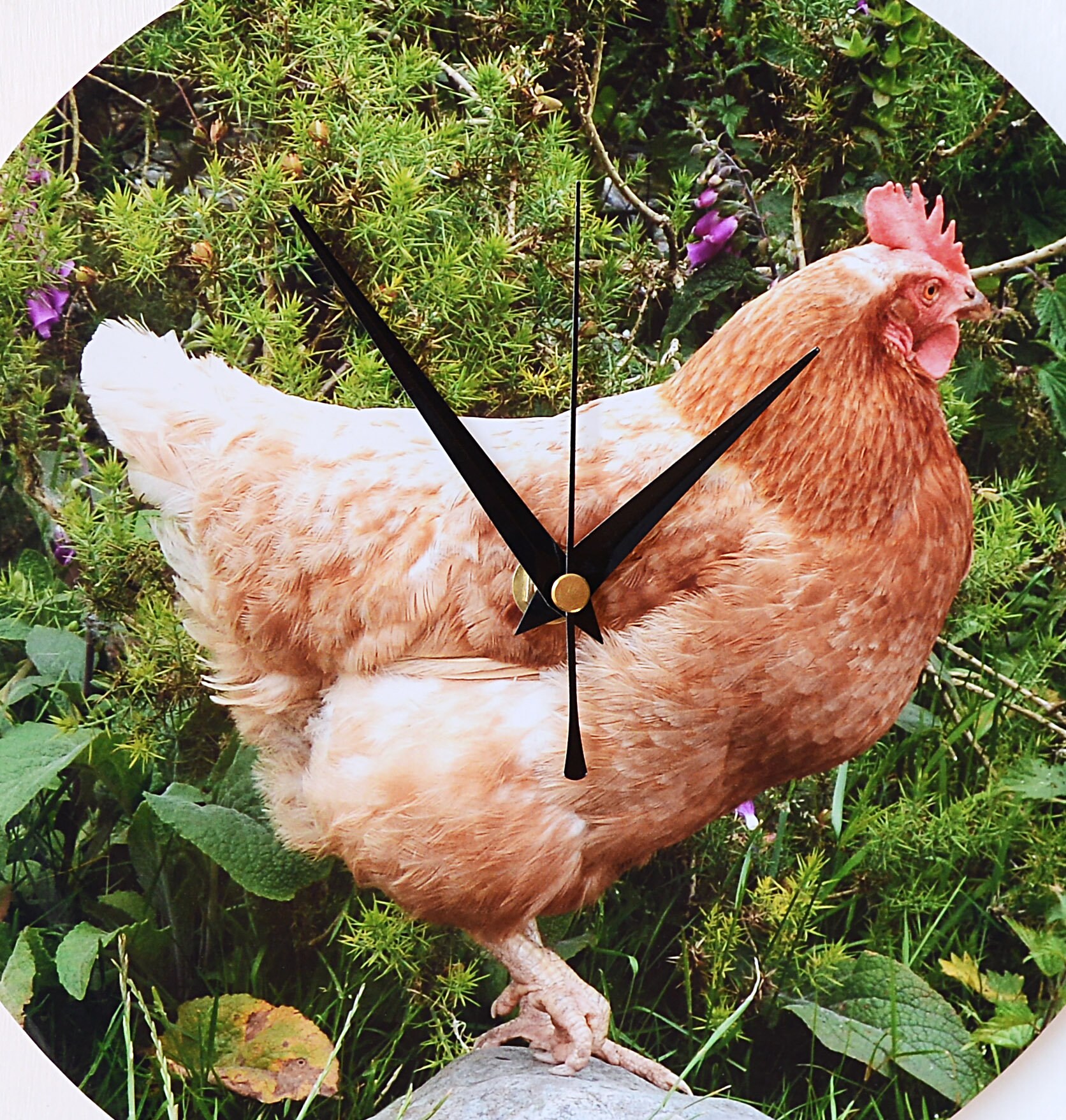 Chicken Wall Clock Photo Wall Clock Hen Clock Farm Etsy