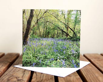 Bluebells Greeting Card  - Spring Woodland - Blank Card - Photo Greeting Card - Square Card