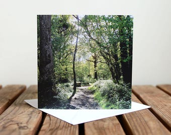 Woodland Greeting Card - Spring Trees - Forest Path - Blank Card - Photo Greeting Card - Square Card