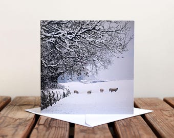 Sheep in Snow Greeting Card - Winter Scene Blank Card