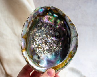 Natural Paua Shell, Abalone Shell, Mother of Pearl,130mm