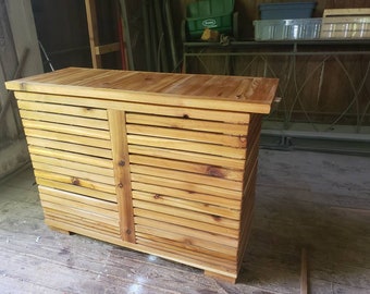 Outdoor dry bar and storage